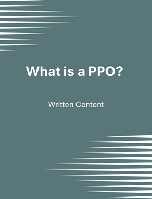 What is a PPO?