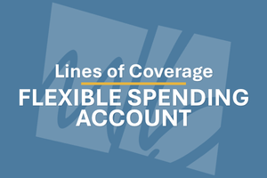 Flexible Spending Account | Education